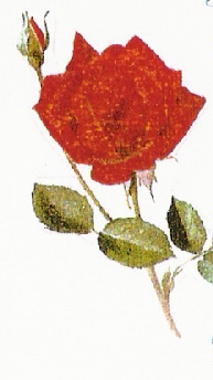 Kitchen Table - Call ahead for reservations!!!